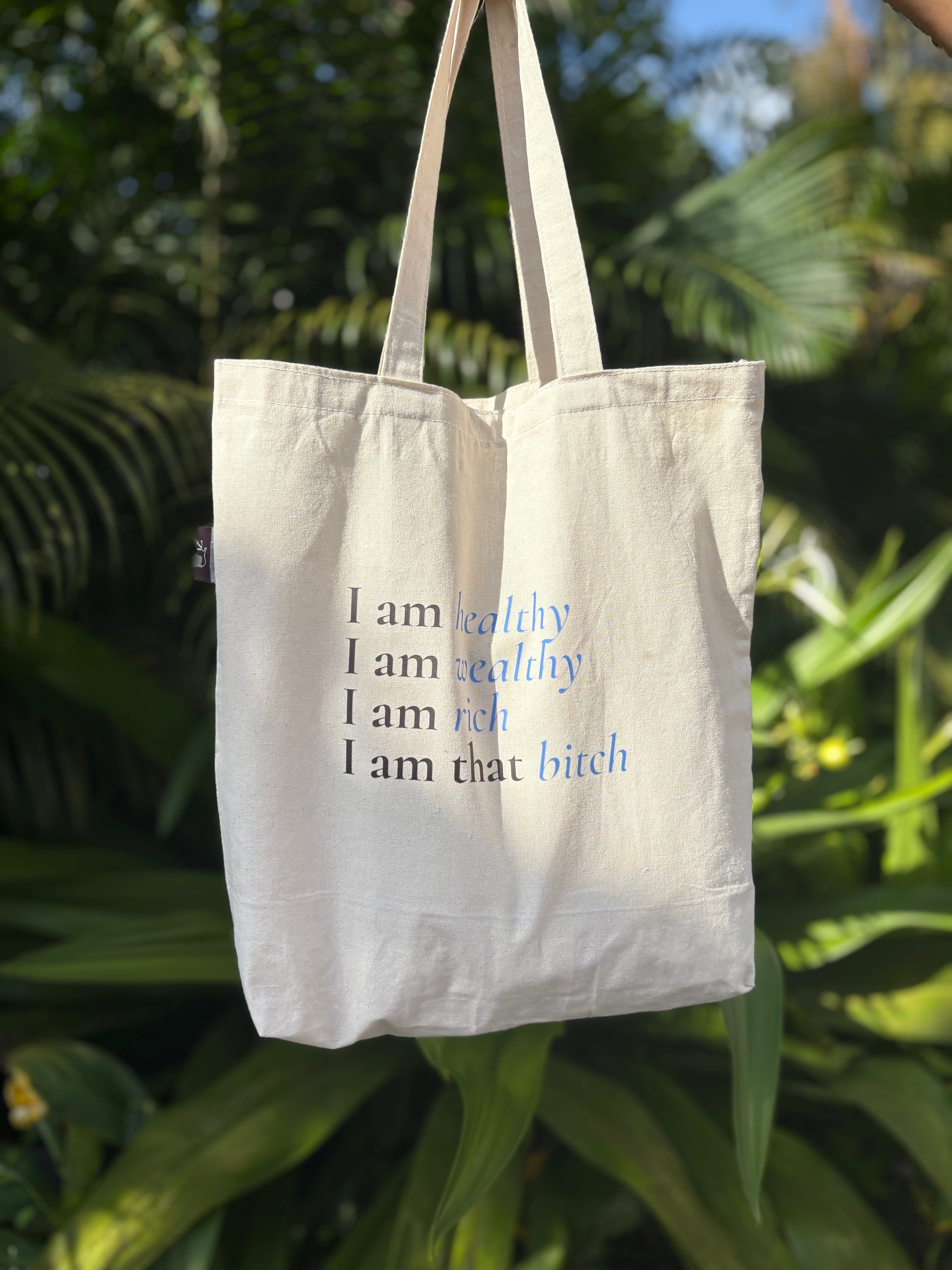The Delulu Bag