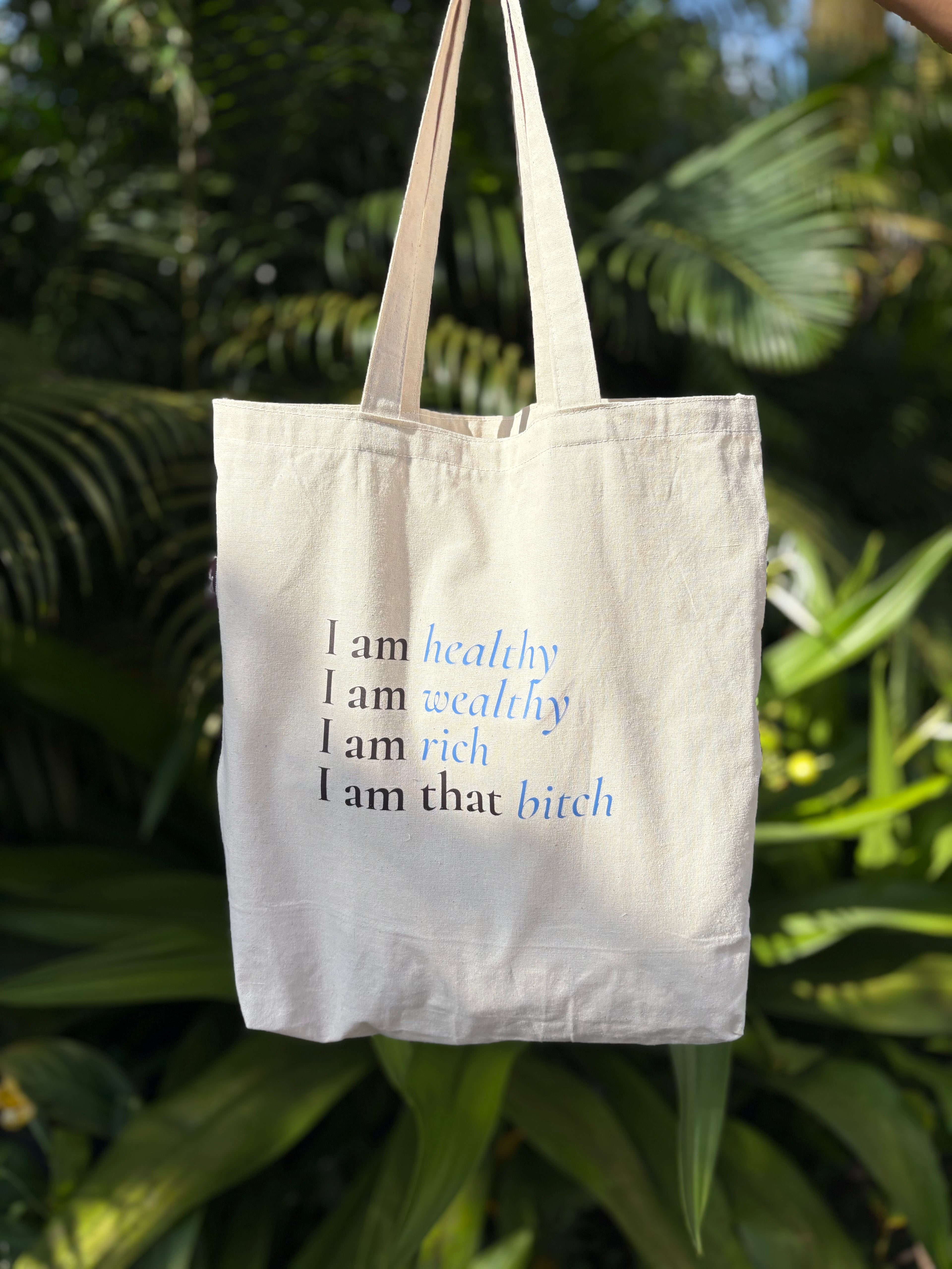 The Delulu Bag